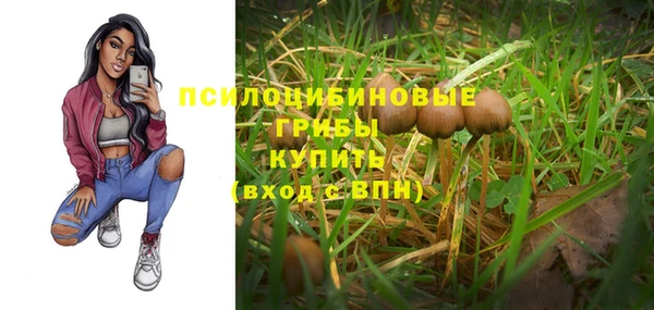 дживик Алексин