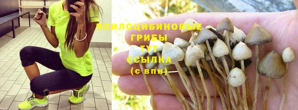 стаф Алексеевка