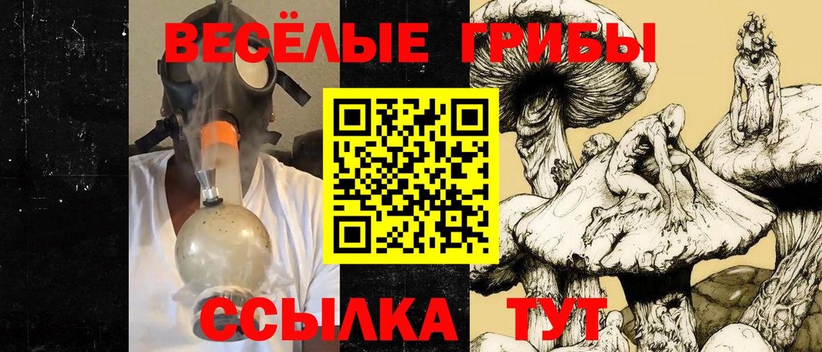 Псилоцибиновые грибы мухоморы Феодосия